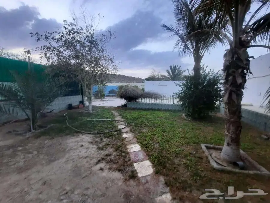 ارض واستراحه للبيع في الاجواد جده 3