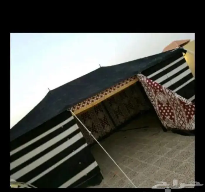 متخصص في بيع جميع انواع التراثيات 3