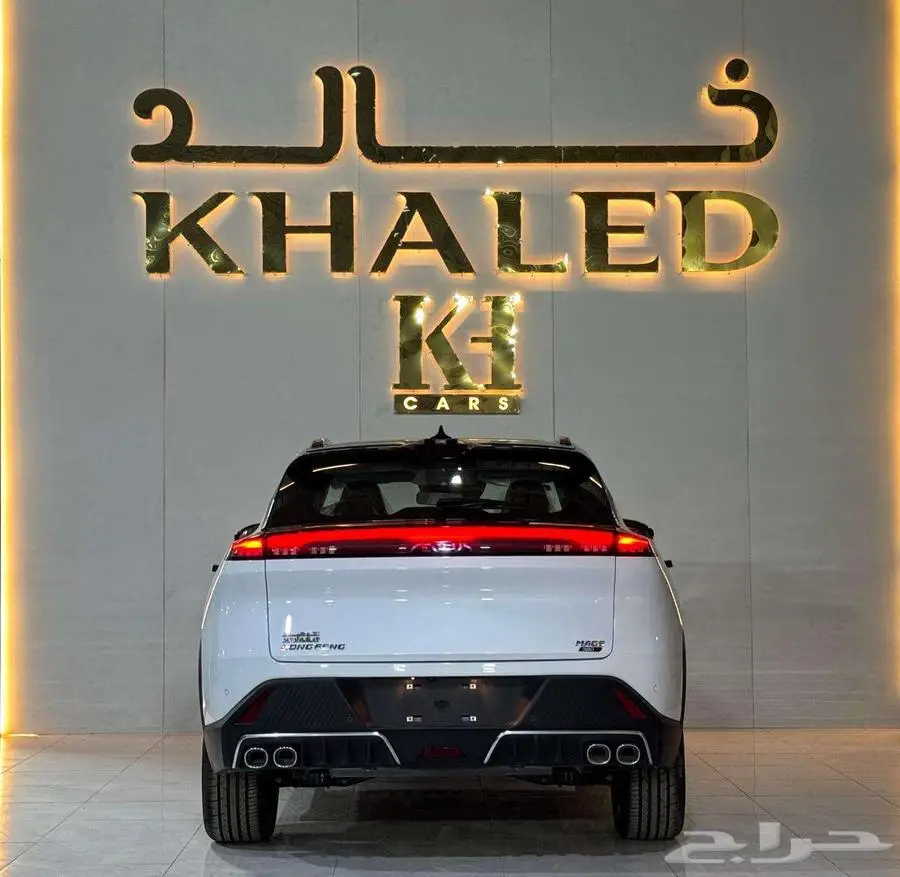 دونج فينج 2025 index