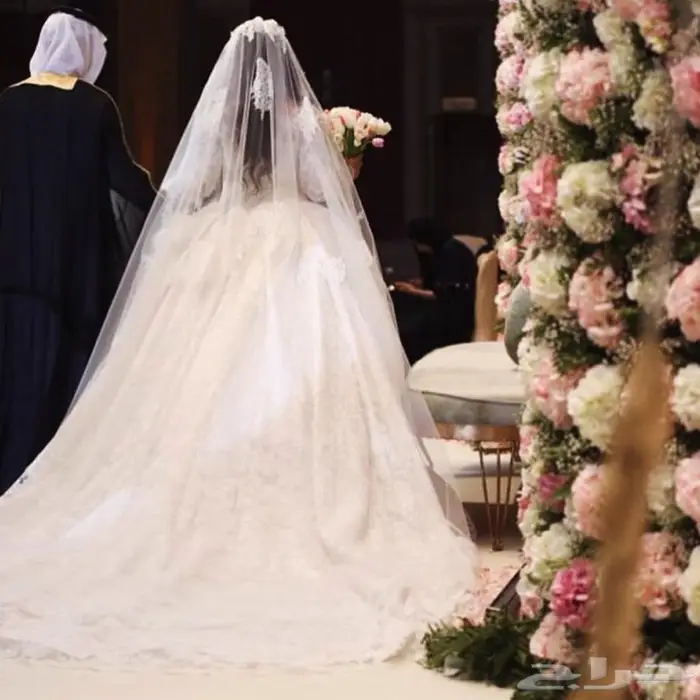 تصوير عرايس الرياض 18