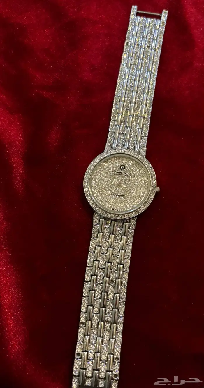 ساعة cludia landi رجالي 1