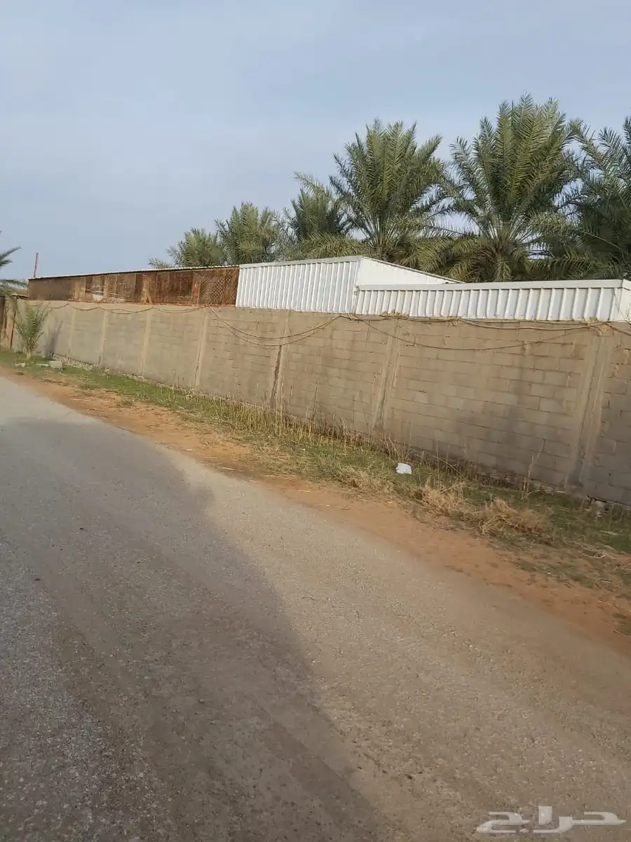 للبيع مزرعه بالرايسية في عنيزه 13