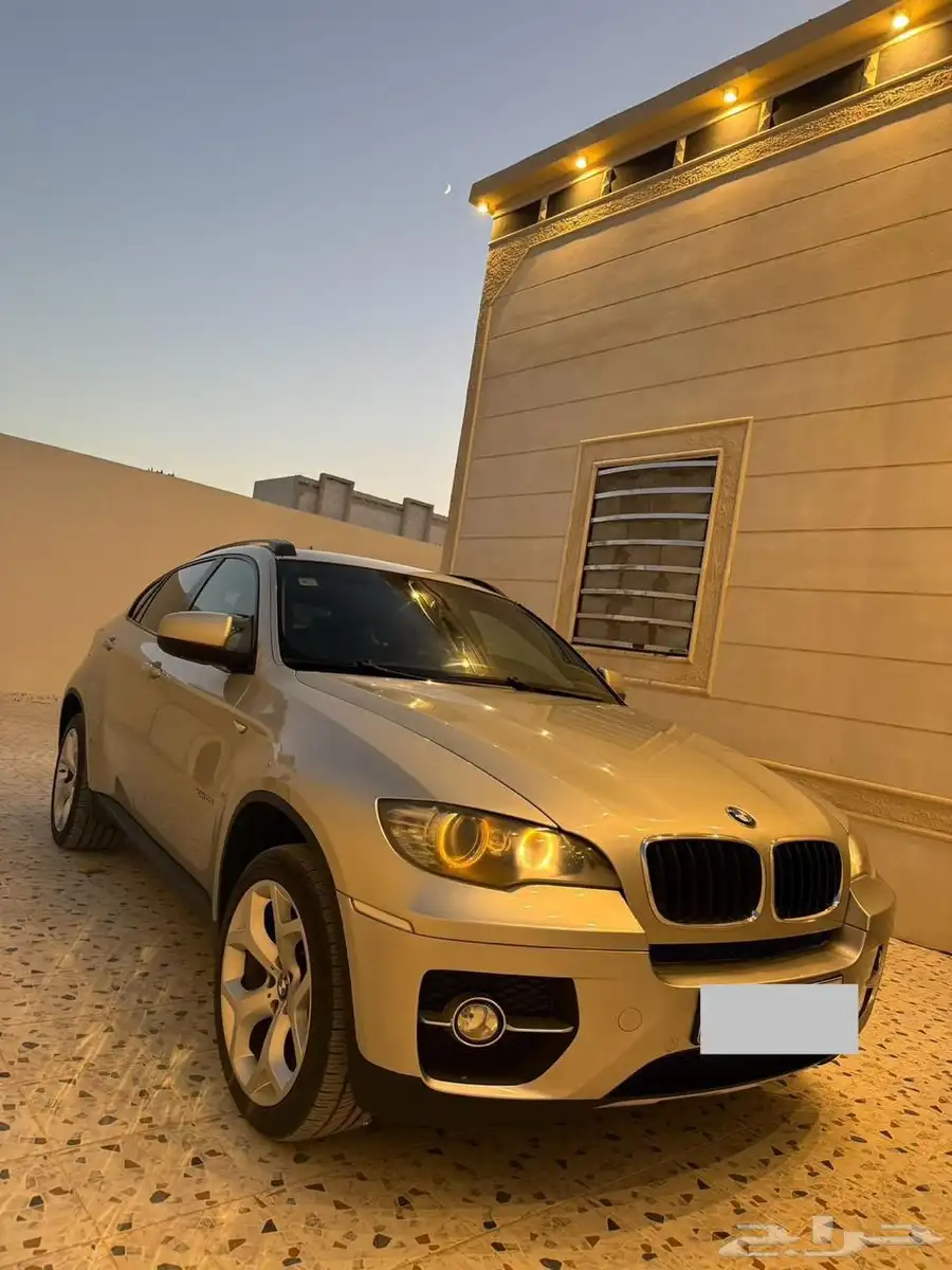 BMW X6 2010 index