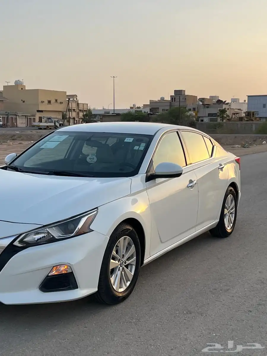 للبيع التيما 2021 1