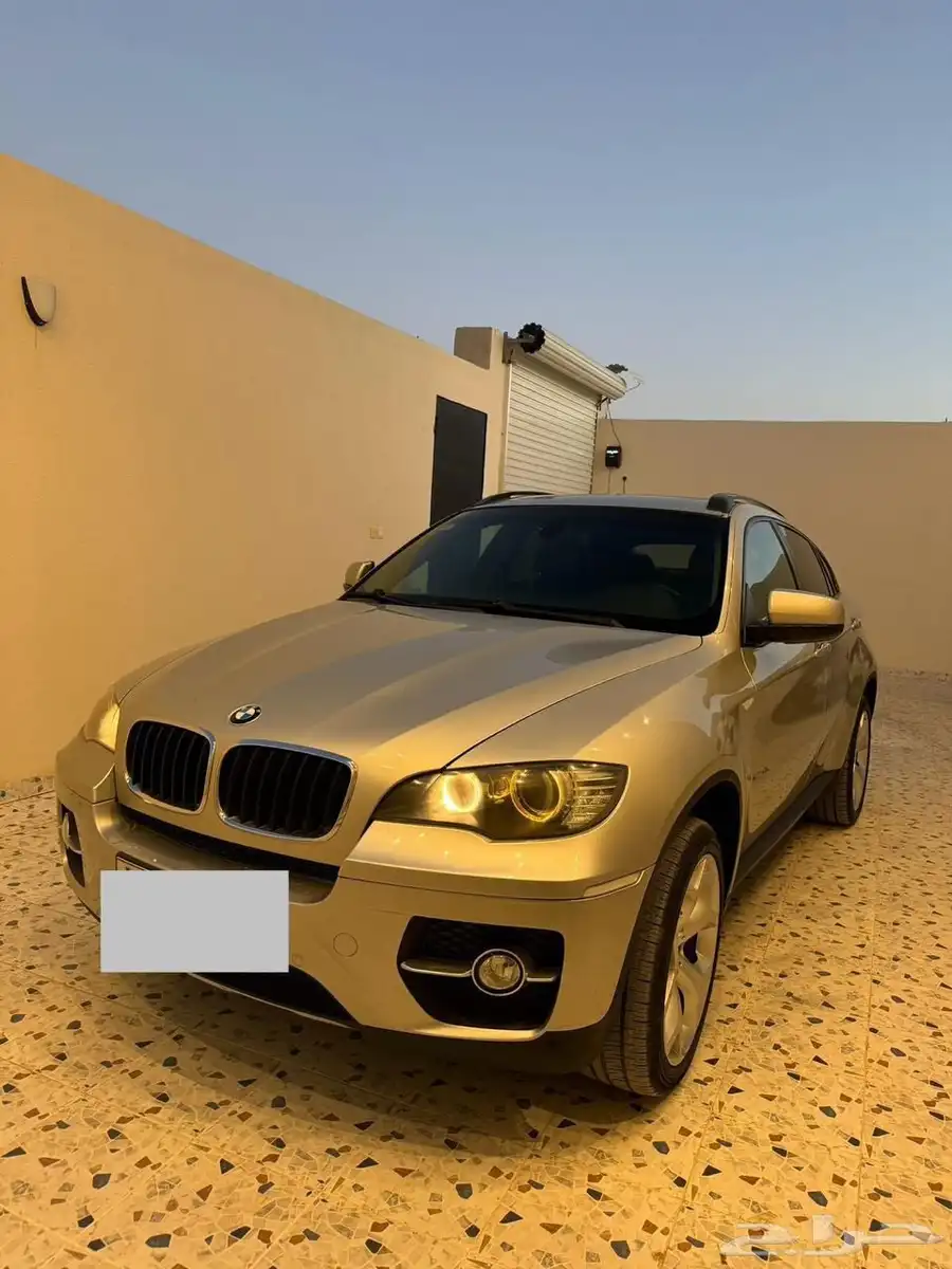 BMW X6 2010 index