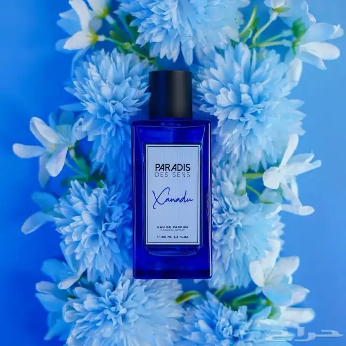 عطور فرنسية وعالميه بأسعار جملة ( أصلية ) 1