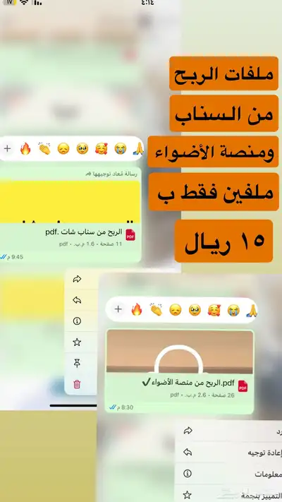 منتجات رقميه مربحه ومتنوعه. 8