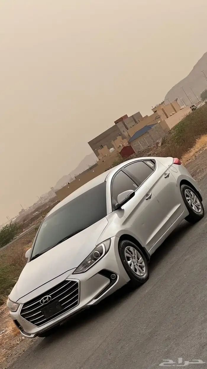 النترا 2017 13