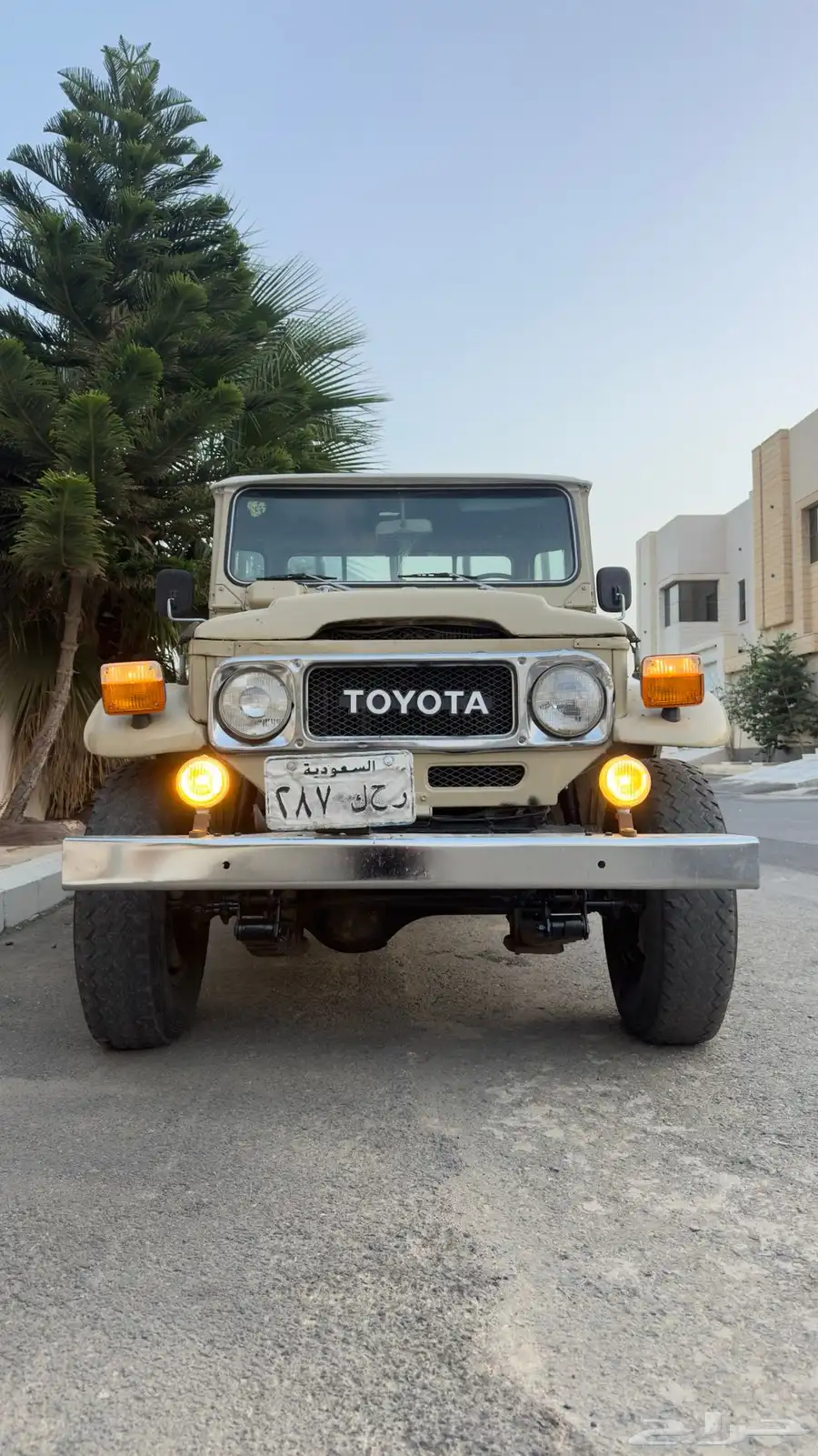 شاص 1984 index