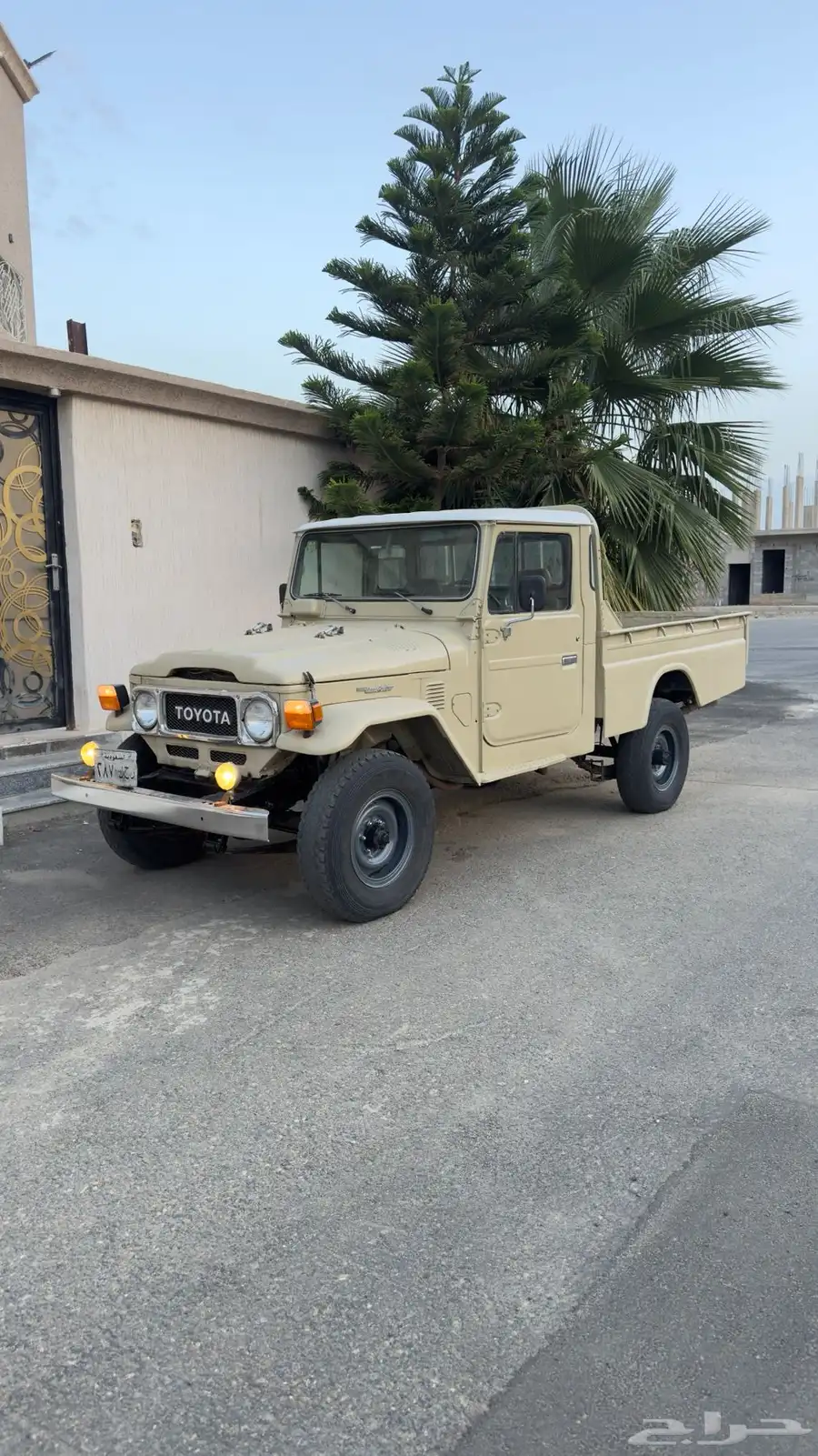 شاص 1984 index