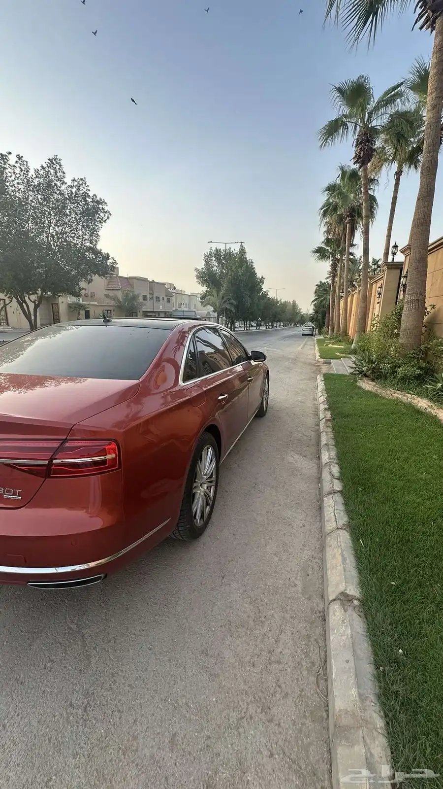 اودي A8 موديل 2015 10