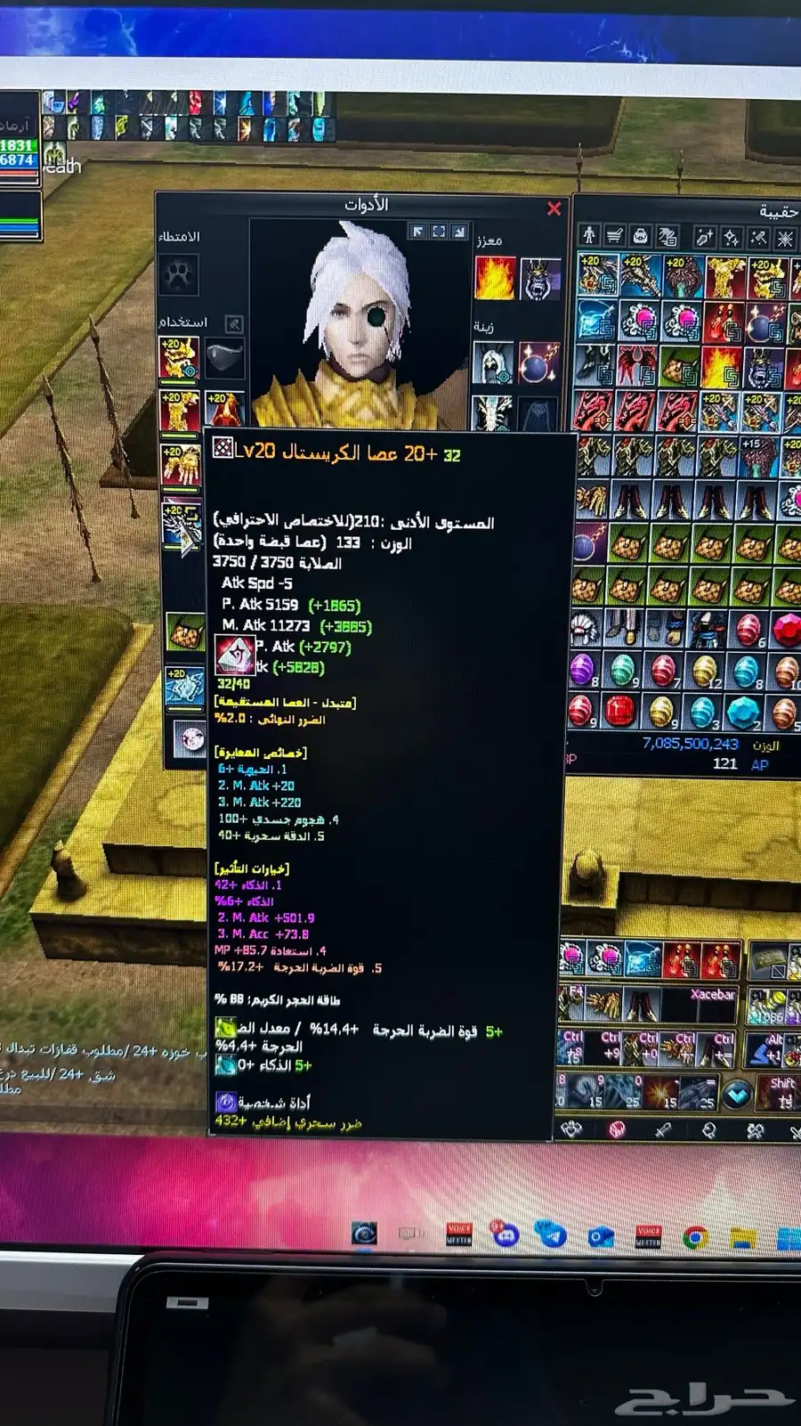 للبيع حياب ظلال لفل 210 فل امل الشعوب 5