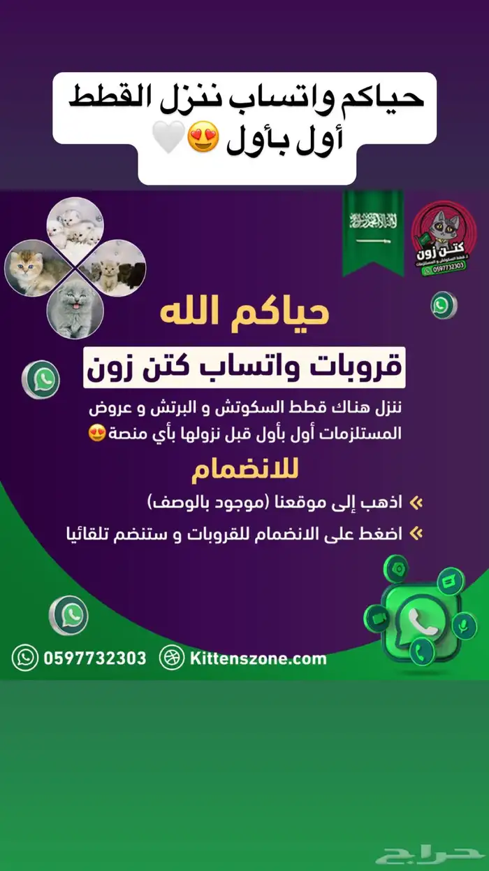 للبيع-سكوتش-ذكر-يوجد دفع بالتقسيط 4