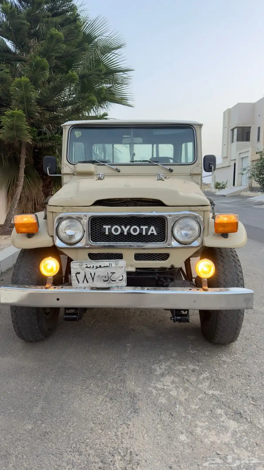 شاص 1984 index