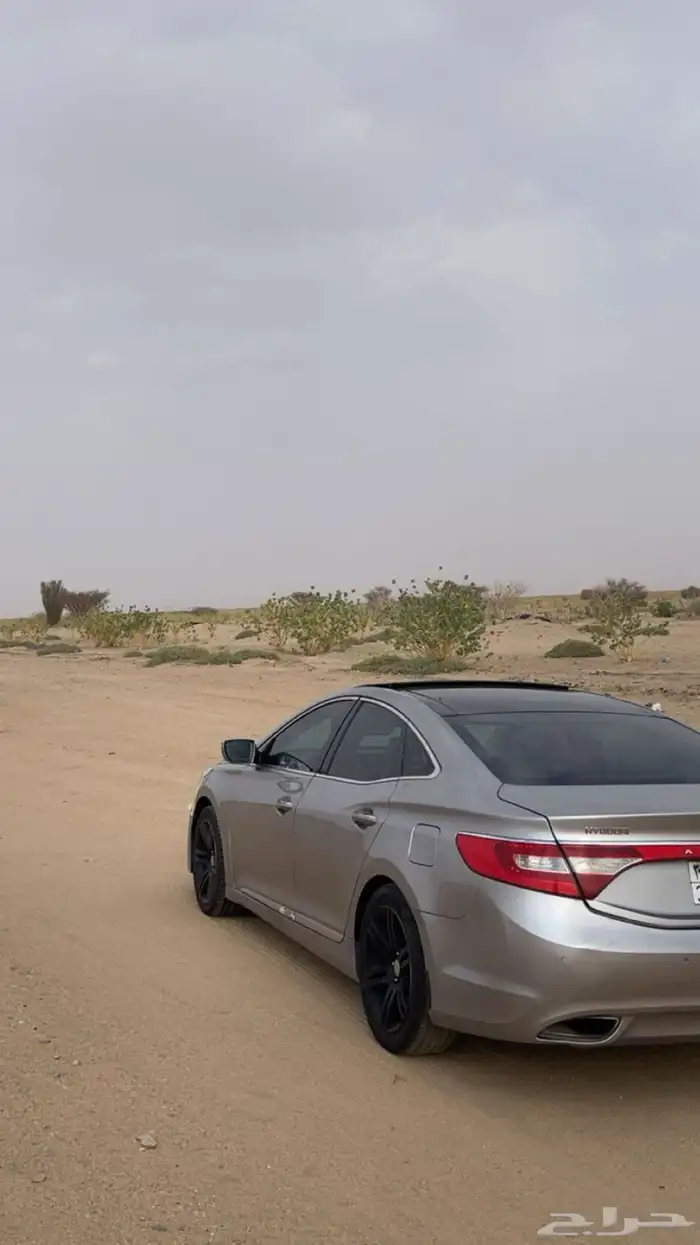 الطايف 4