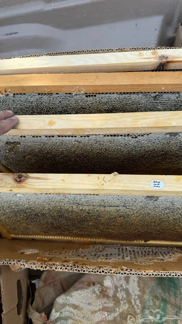 للبيع عسل طلح فرزه اولى شغلي انا خاص الكيلو 300 والشحن 30 3