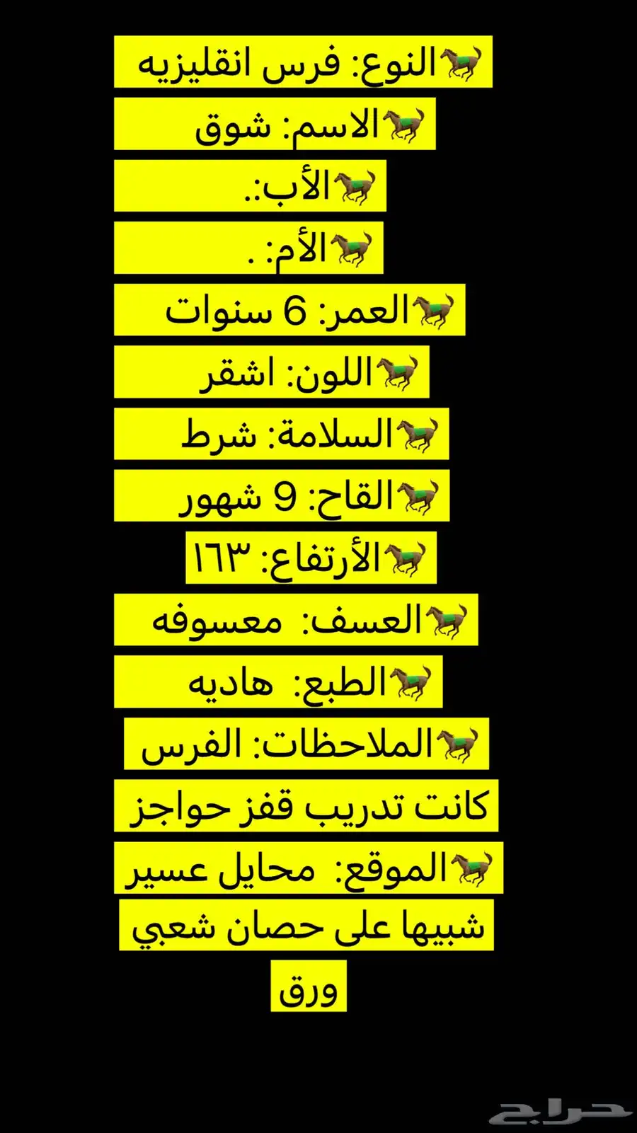 فرس لقاح 9شهور إنجليزي يا مشبهة حصان شعبي أوراق 3
