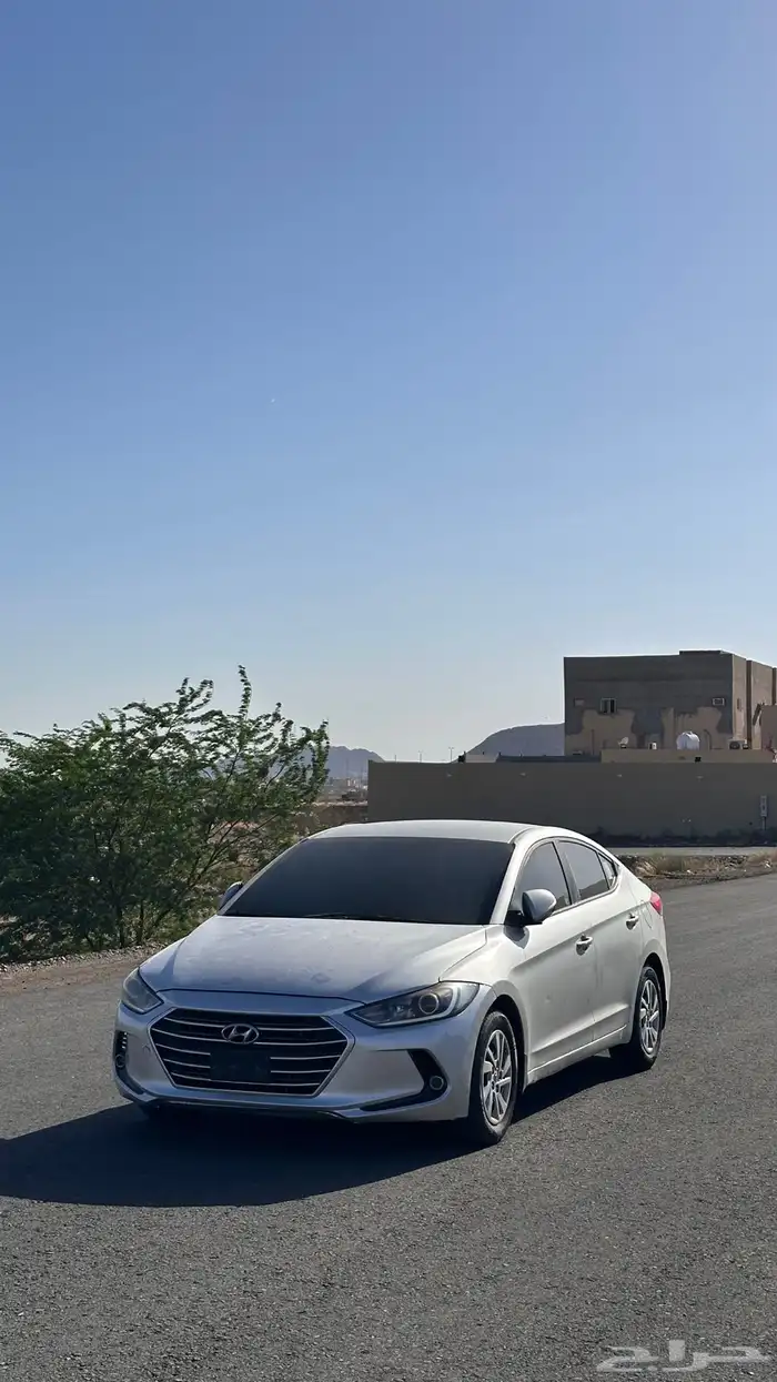 النترا 2017 8
