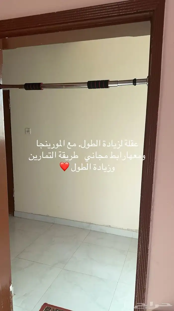 مورينجا النمو. المعجزة لزيادة الطول 1
