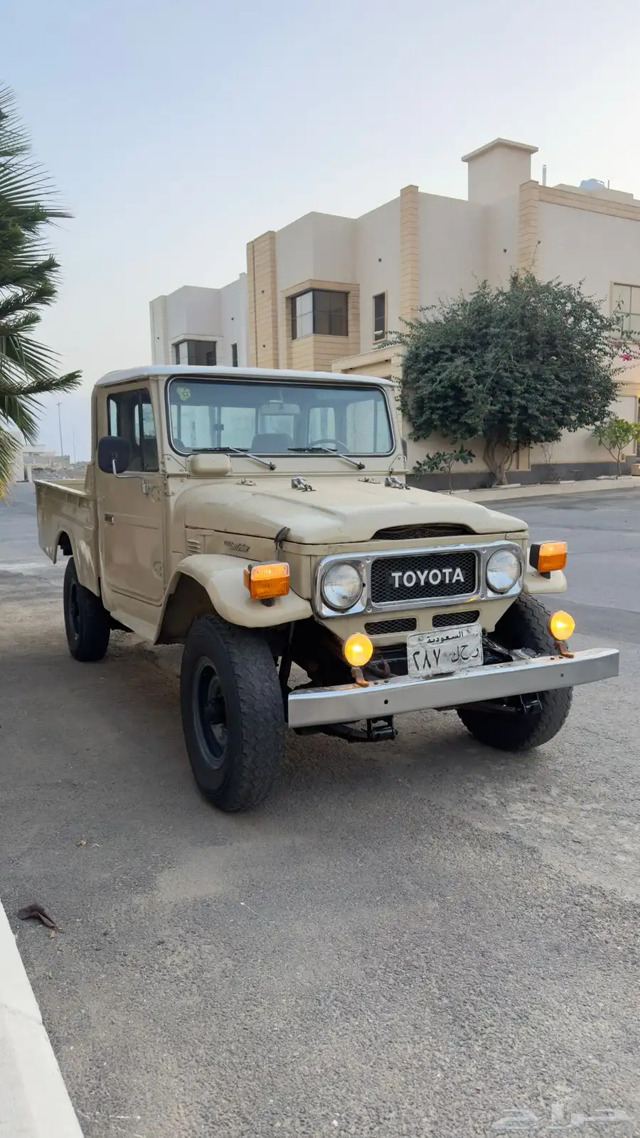 شاص 1984 index