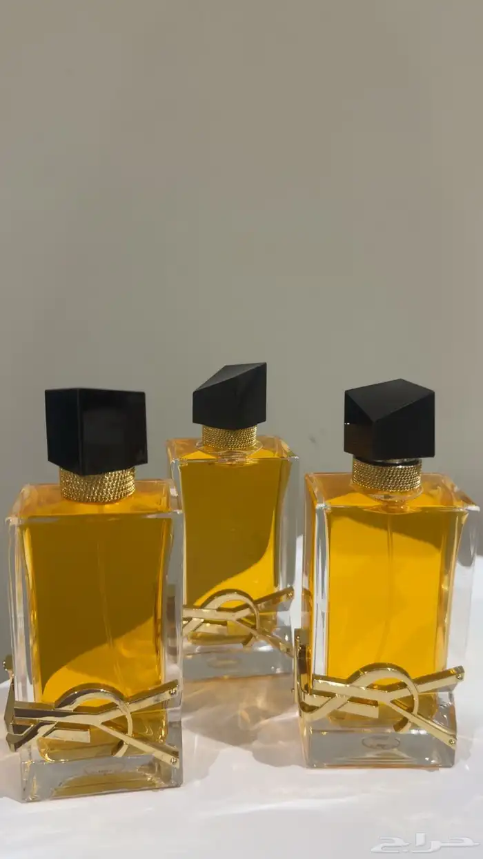 عطر سان لوران انتنس 0