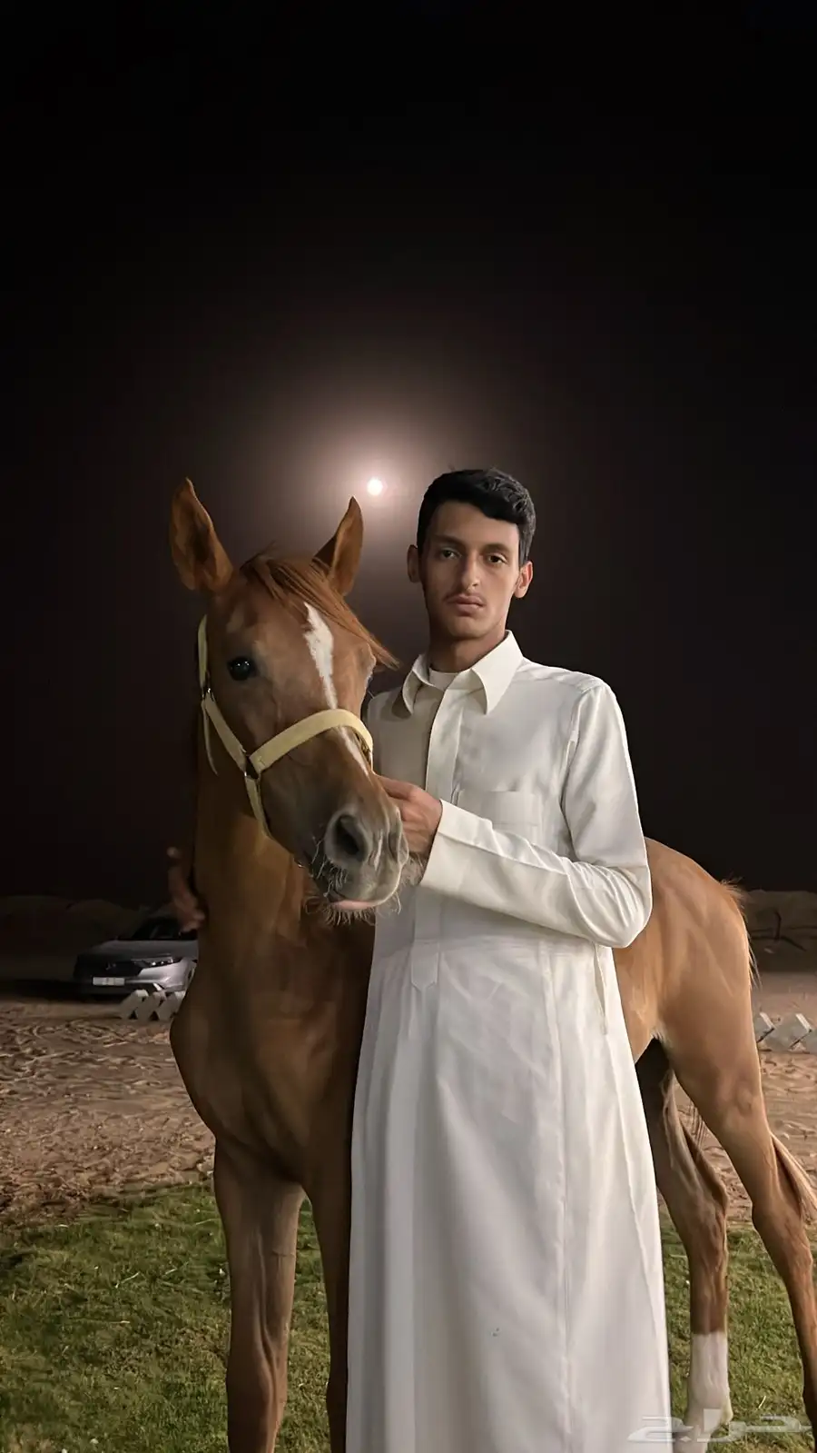 مهر index