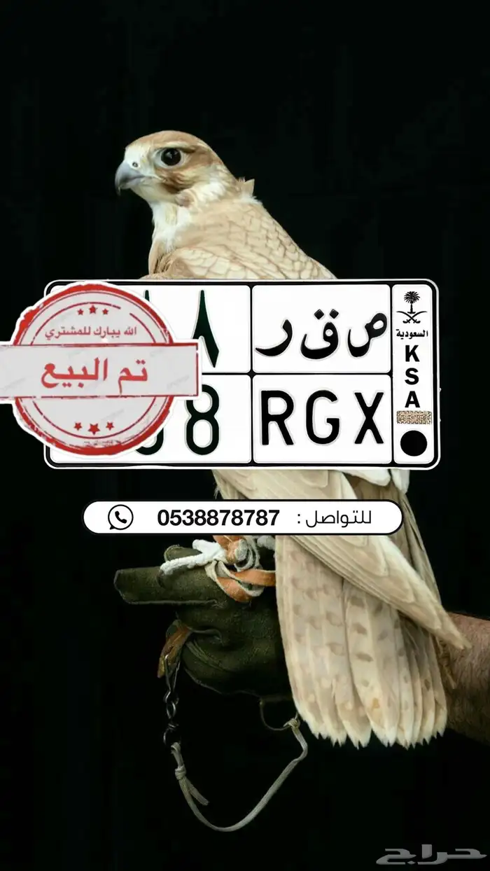 لوحة مميزة مصدر صقر 0