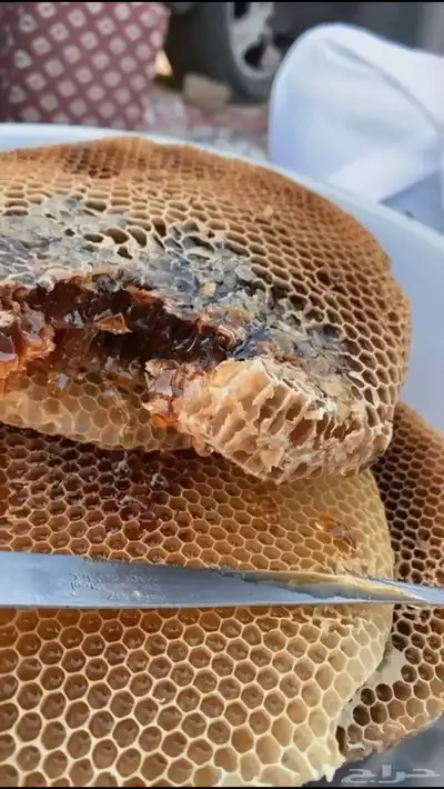 عسل صافي جبلي جديد من منحلي شخصيا 22