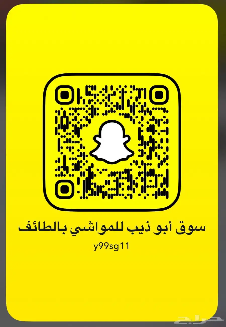 سناب ابو ذيب لبيع وشراء الموشي.ب الطائف 0