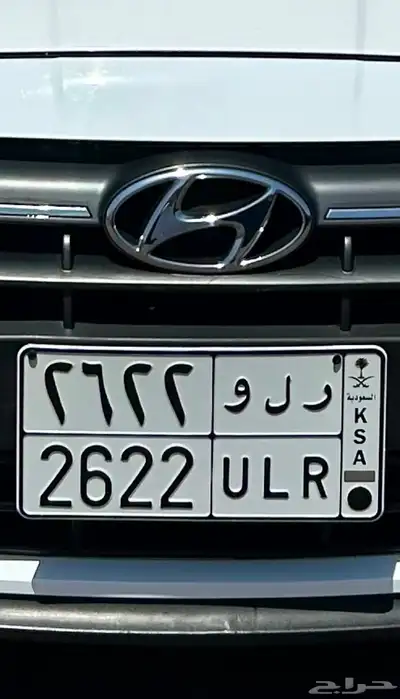 لوحه للبيع ر ل و 2622 1