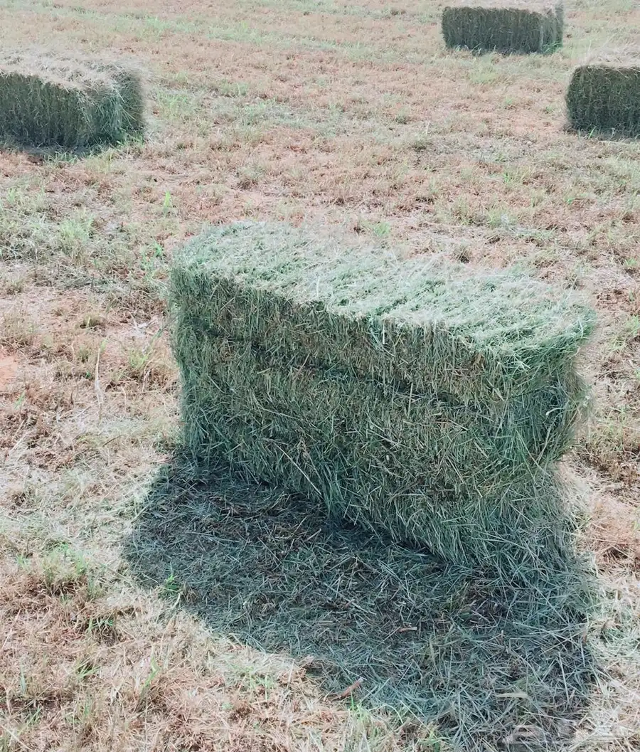 اعلاف بلوبنك 0