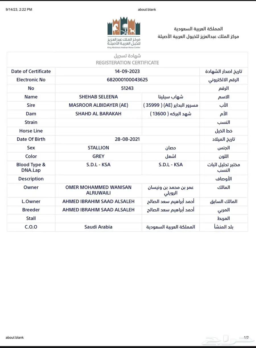 حصان واهو 1