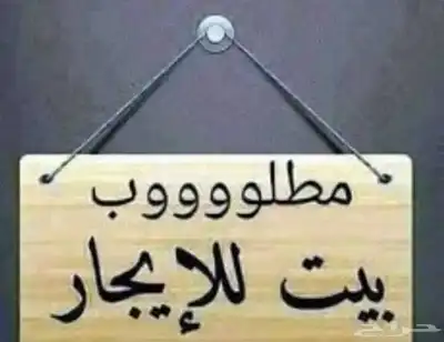 مطلوب بيت ايجار بابها الرجاء قراءه الاعلان جيدا 0