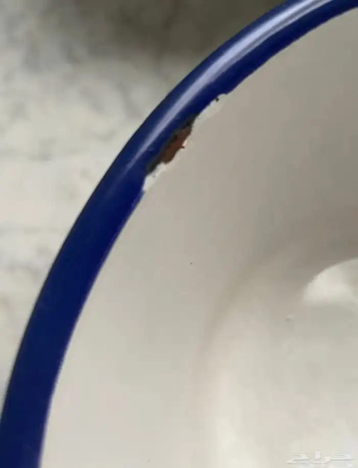 لأهل المتاحف مقتنيات من الماضي مناسبة للعرض في المتاحف 15