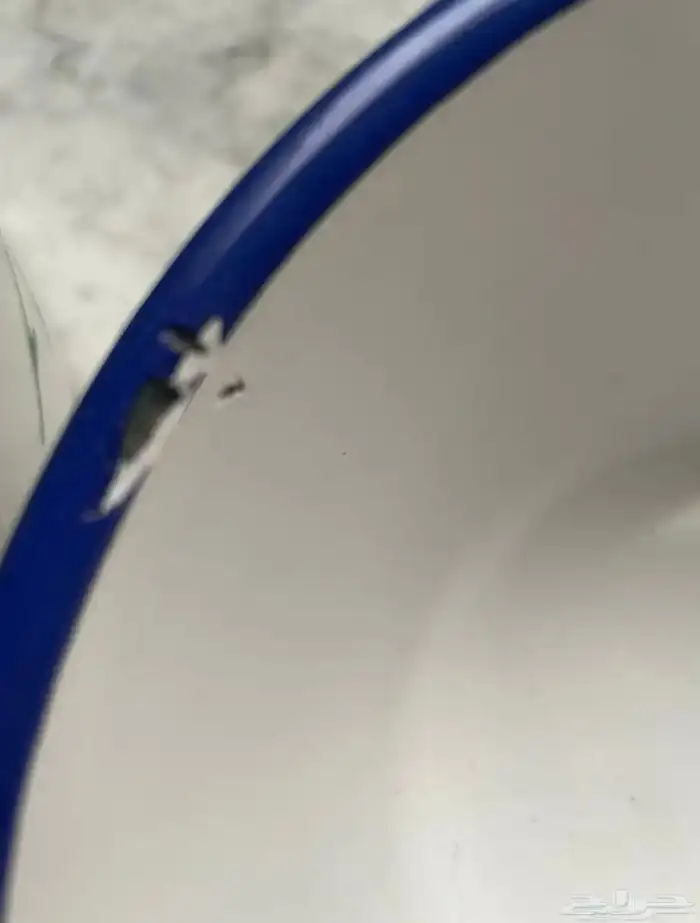 لأهل المتاحف مقتنيات من الماضي مناسبة للعرض في المتاحف 11