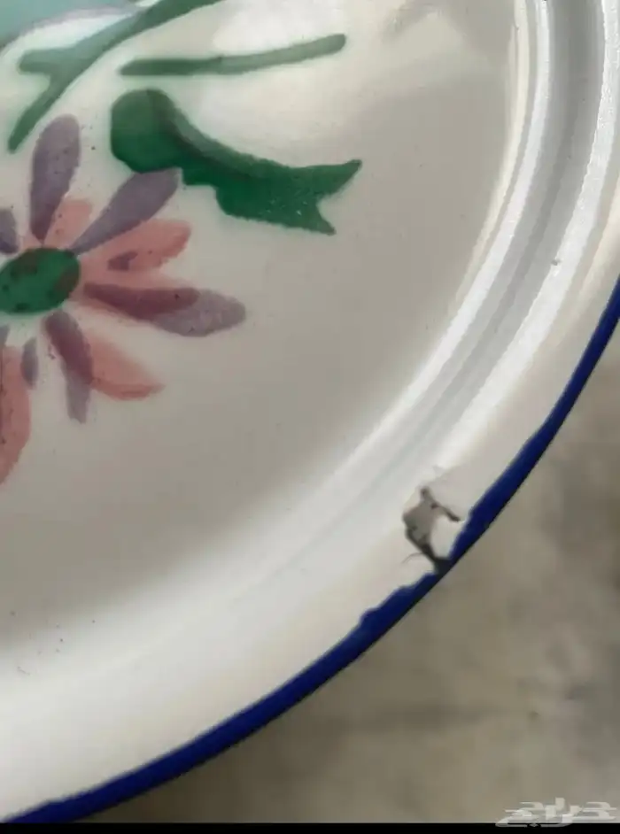 لأهل المتاحف مقتنيات من الماضي مناسبة للعرض في المتاحف 14