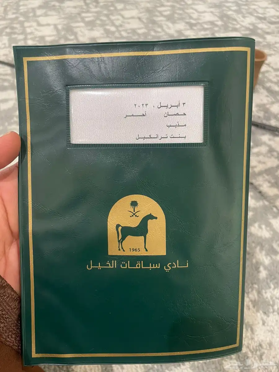 مهر عمره سنتين ونص انقليزي معسوف 2