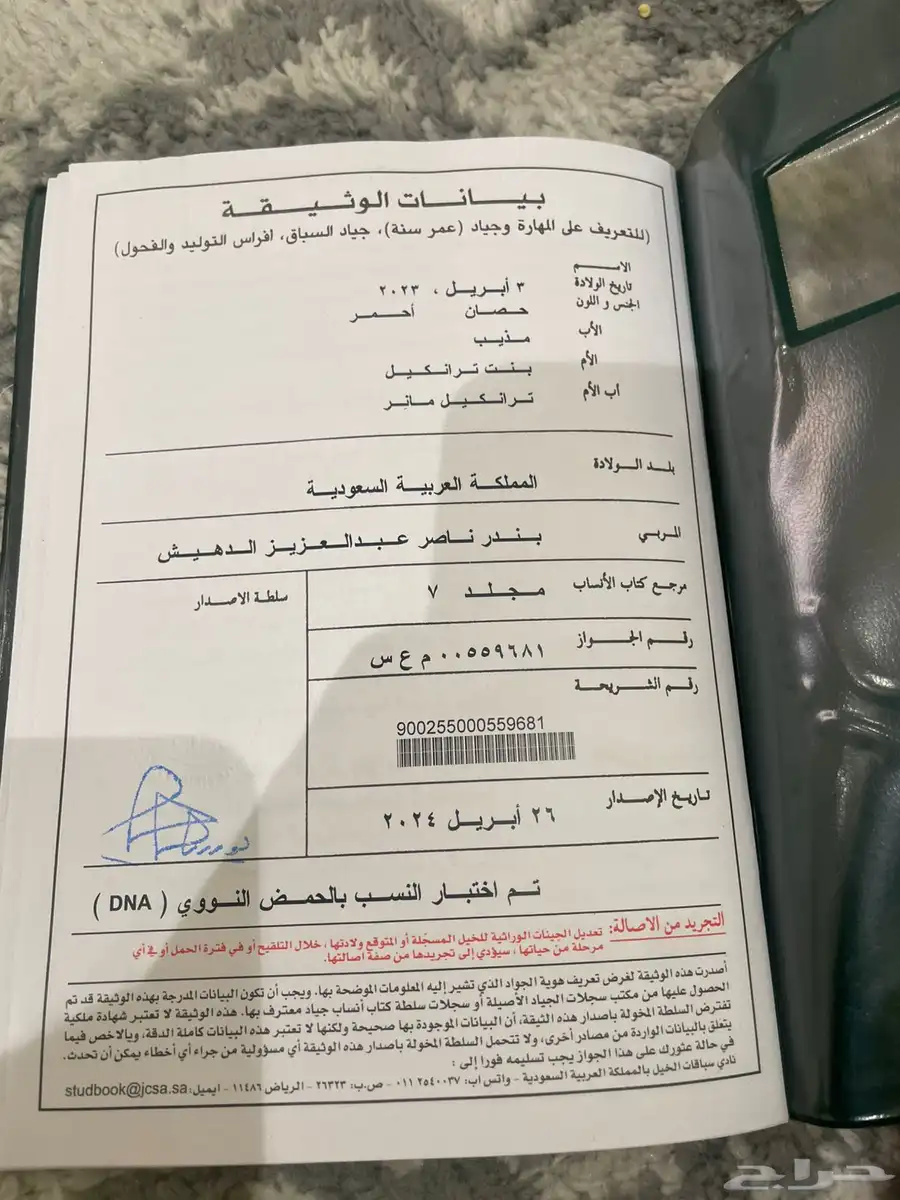 مهر عمره سنتين ونص انقليزي معسوف 1