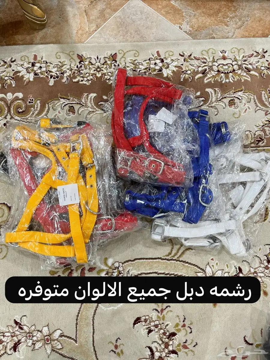 متجر دهر لمستلزمات الخيل index