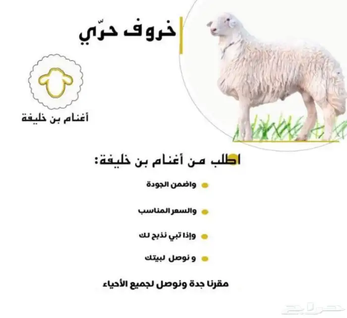 ذبايح حاشي بلدي 0