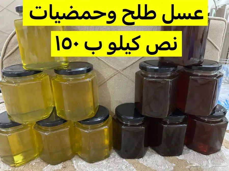 عسل طلح وعسل حمضيات 0