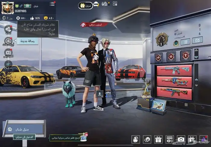 حساب ببجي فيه 122 مثك 2