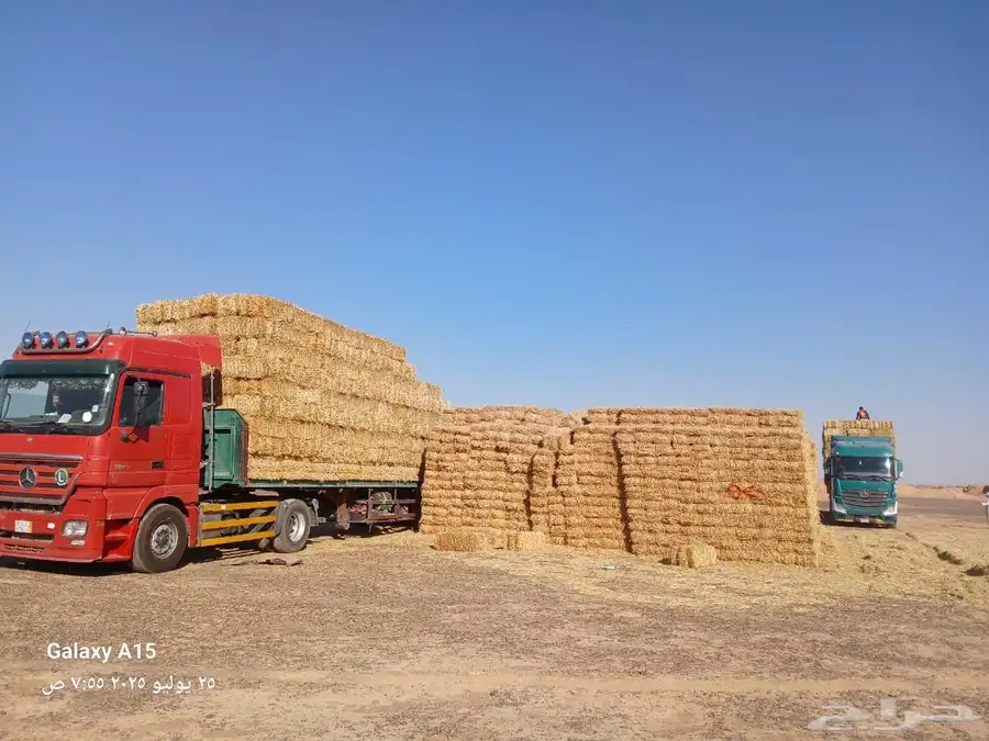تبن بر شد طيب (الدفع عند الوصول ) 1