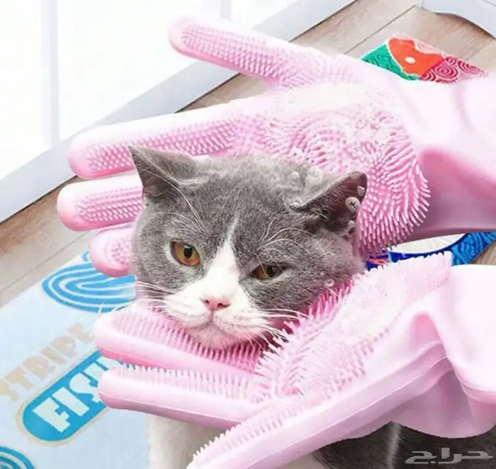شحنه جديده مستلزمات للقطط 6