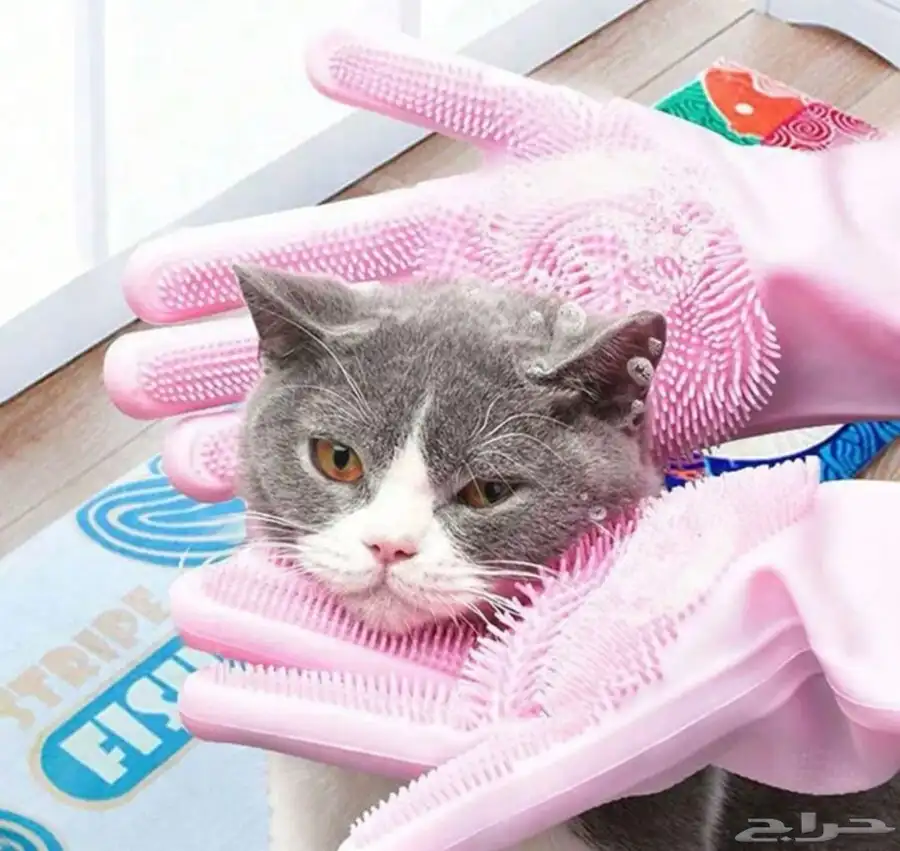 شحنه جديده مستلزمات للقطط 6