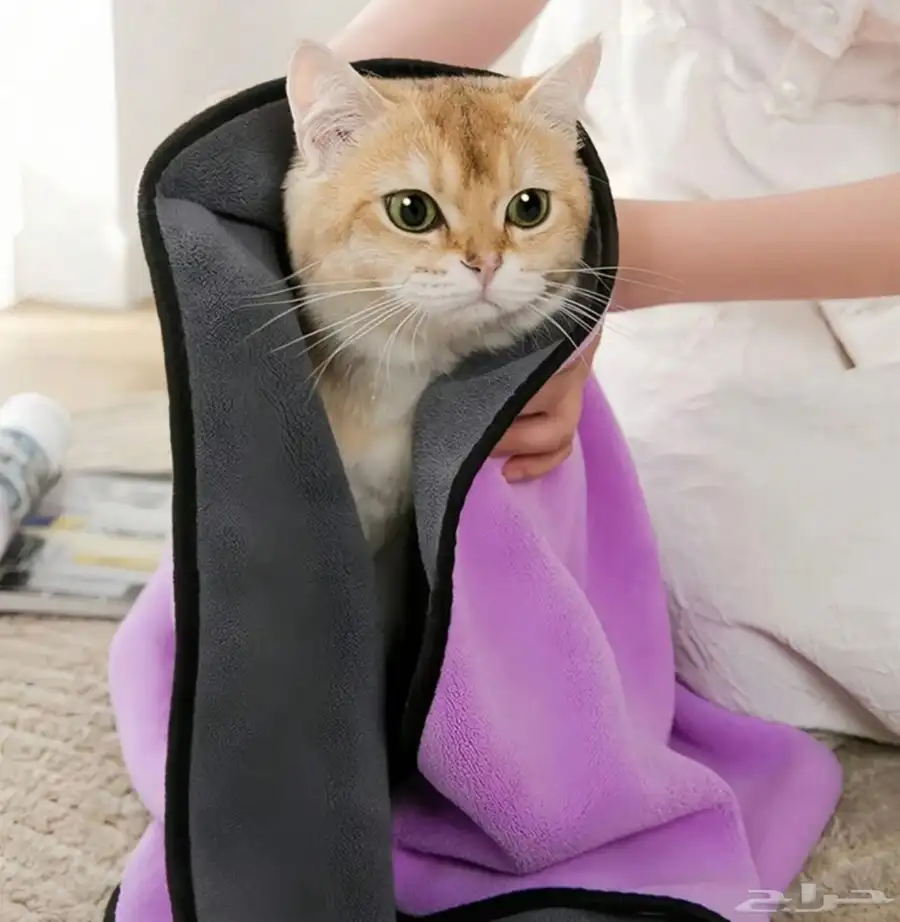 شحنه جديده مستلزمات للقطط 8