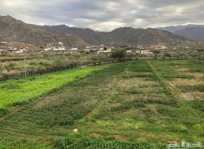 للبيع أرض زراعية بصك الكتروني بمحافظة أضم 13