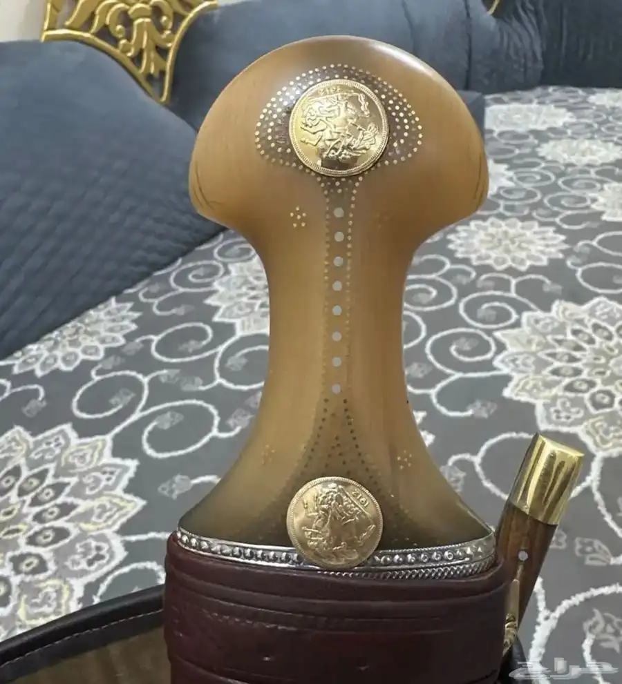 جنبيه شبيهت الزراف 1