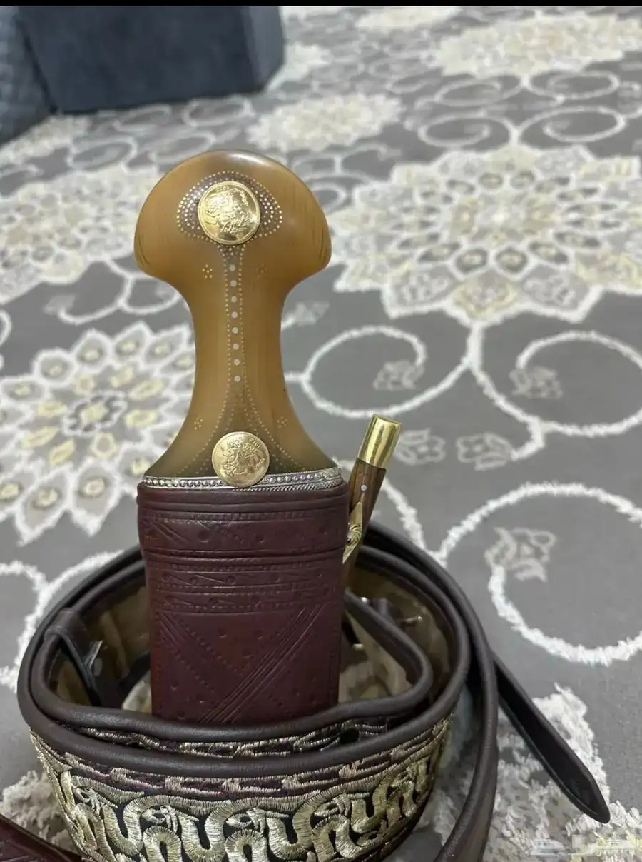 جنبيه شبيهت الزراف 0