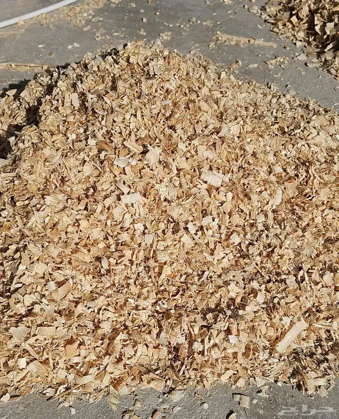 نشاره خيول 0
